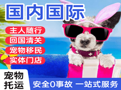榆林榆阳航空托运国际宠物托运 【国